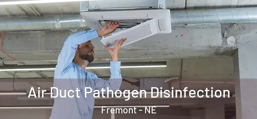 Air Duct Pathogen Disinfection Fremont - NE