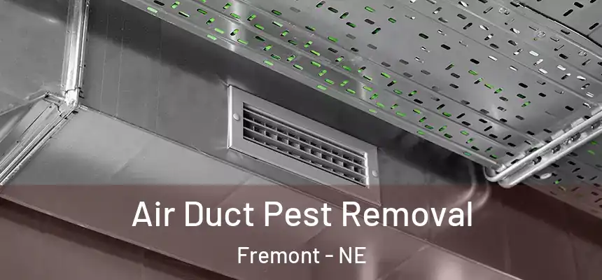 Air Duct Pest Removal Fremont - NE