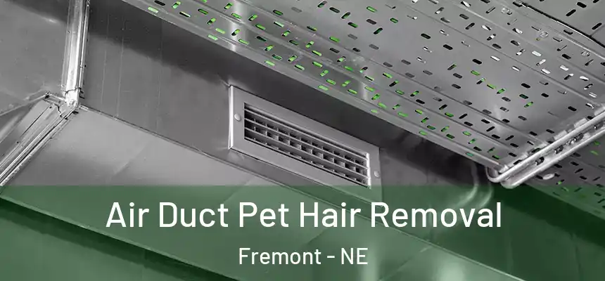 Air Duct Pet Hair Removal Fremont - NE
