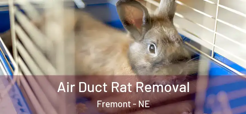  Air Duct Rat Removal Fremont - NE