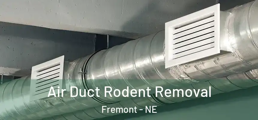 Air Duct Rodent Removal Fremont - NE