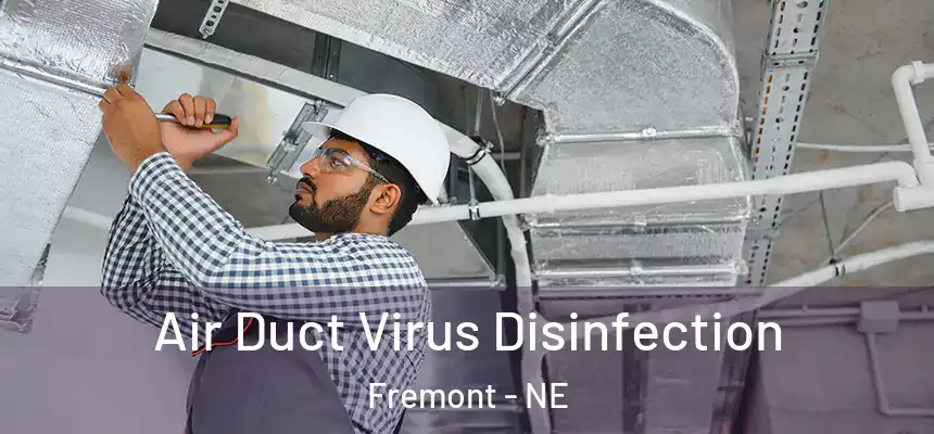 Air Duct Virus Disinfection Fremont - NE