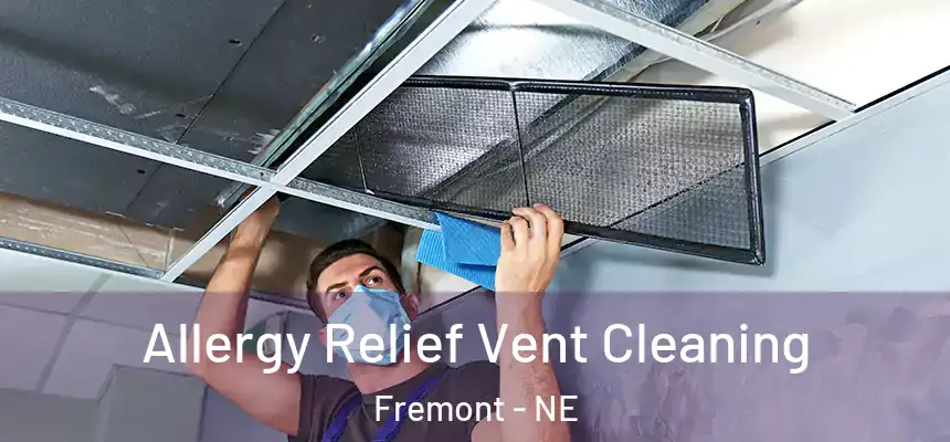 Allergy Relief Vent Cleaning Fremont - NE