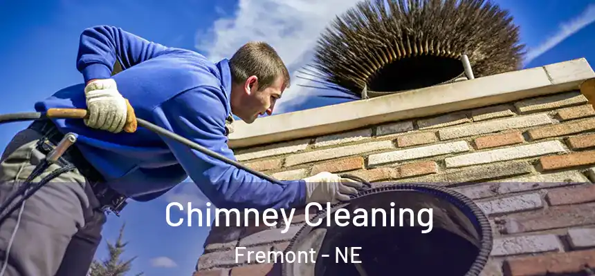 Chimney Cleaning Fremont - NE