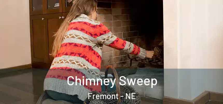 Chimney Sweep Fremont - NE