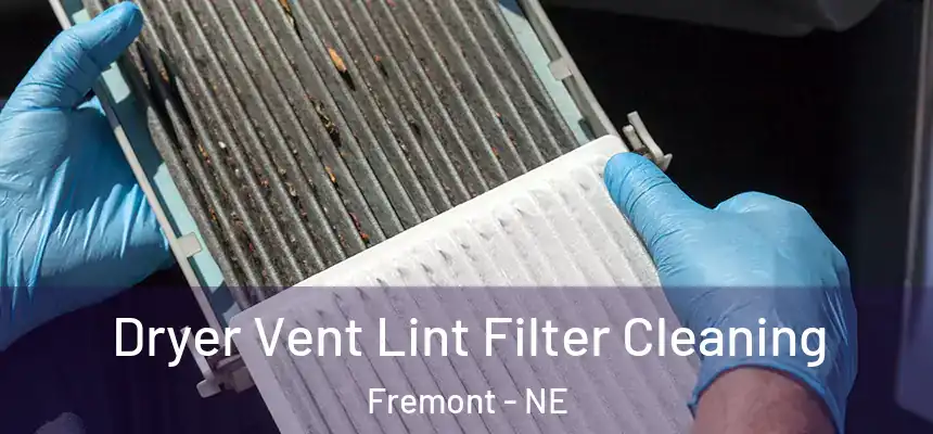  Dryer Vent Lint Filter Cleaning Fremont - NE