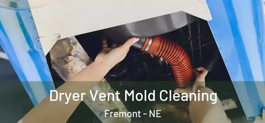 Dryer Vent Mold Cleaning Fremont - NE