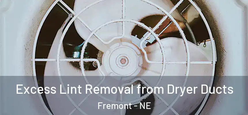 Excess Lint Removal from Dryer Ducts Fremont - NE