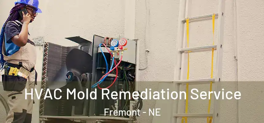 HVAC Mold Remediation Service Fremont - NE