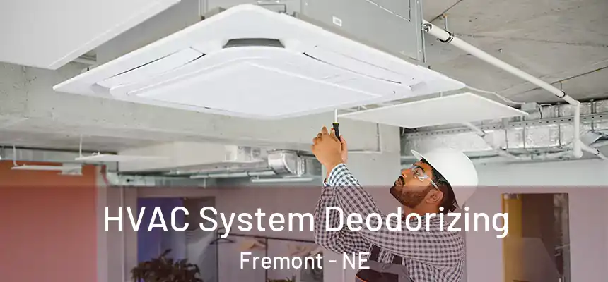  HVAC System Deodorizing Fremont - NE