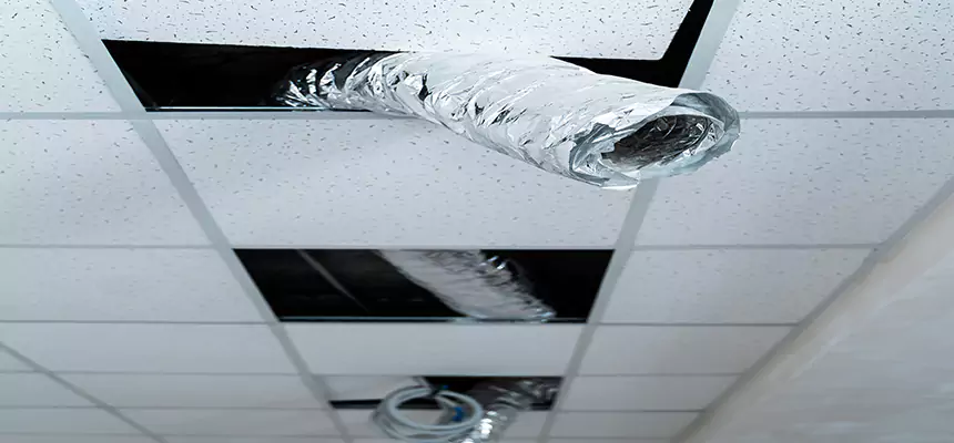 Our Air Duct Pet Hair Removal Services in Fremont, NE