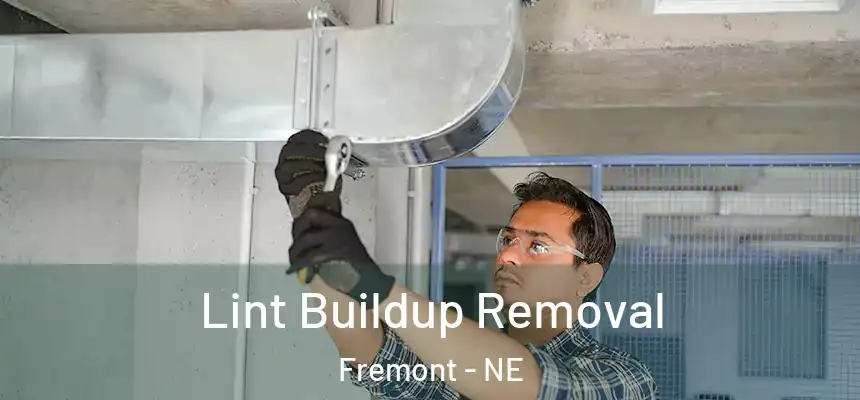  Lint Buildup Removal Fremont - NE