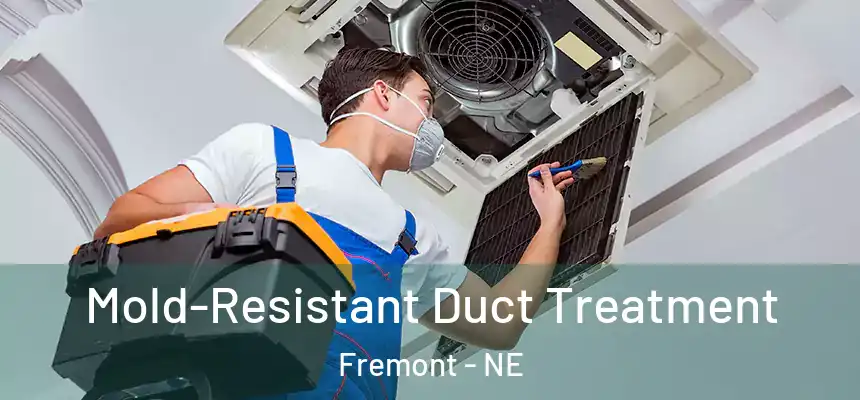 Mold-Resistant Duct Treatment Fremont - NE