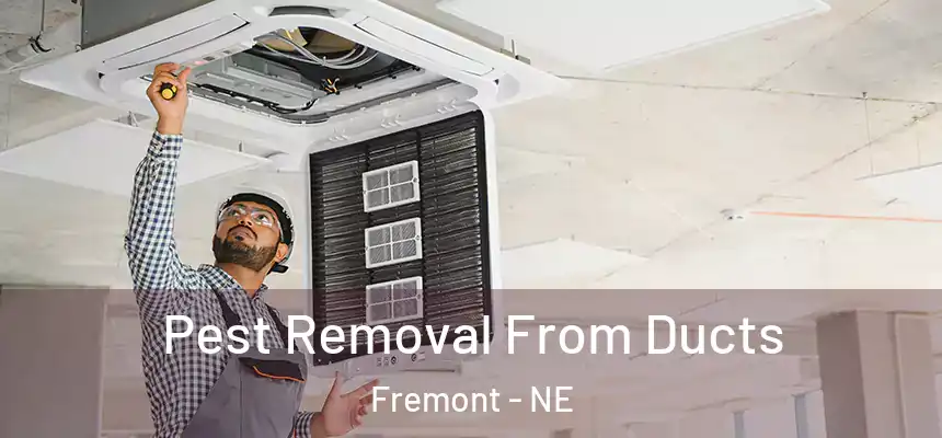  Pest Removal From Ducts Fremont - NE