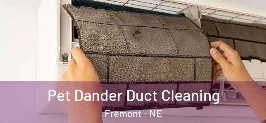 Pet Dander Duct Cleaning Fremont - NE