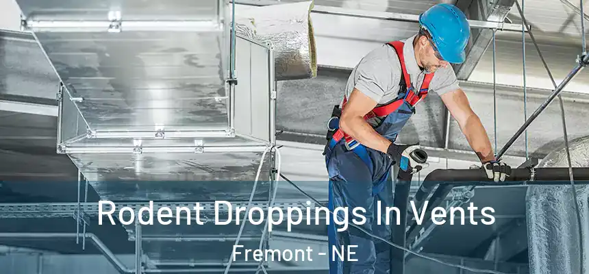  Rodent Droppings In Vents Fremont - NE