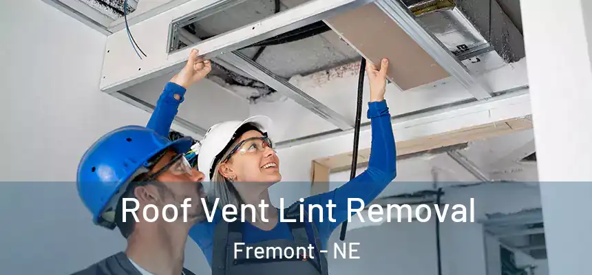  Roof Vent Lint Removal Fremont - NE