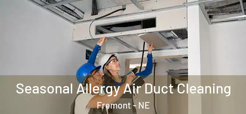 Seasonal Allergy Air Duct Cleaning Fremont - NE