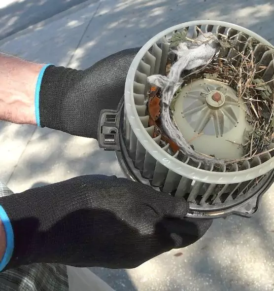 About Air Duct Mice Removal in Fremont, NE