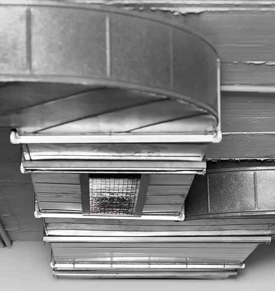 Professional Air Duct Pest Removal in Fremont, NE