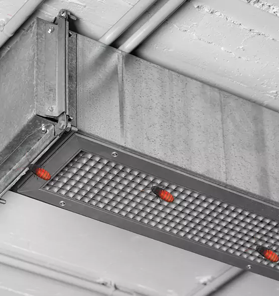 Affordable Insect Removal from Air Ducts in Fremont, NE