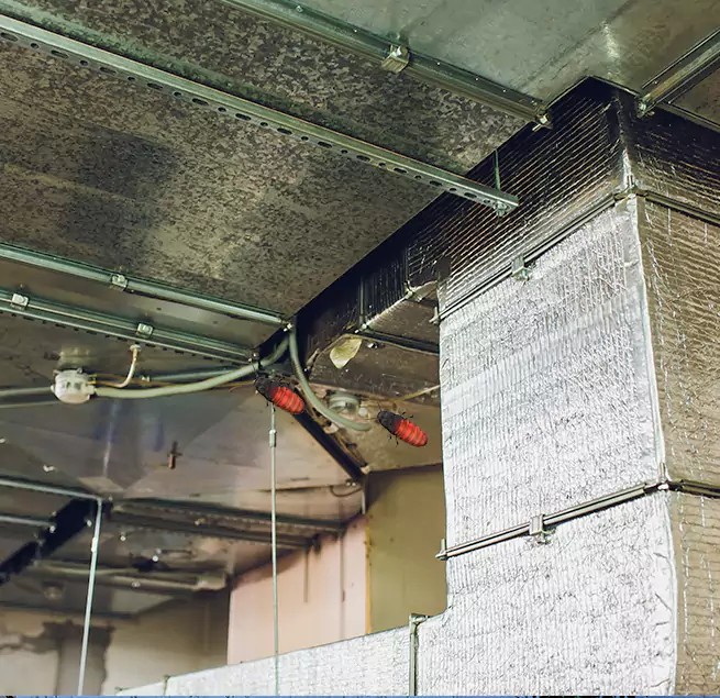 Why Homeowners & Businesses Trust Us Fremont, NE?