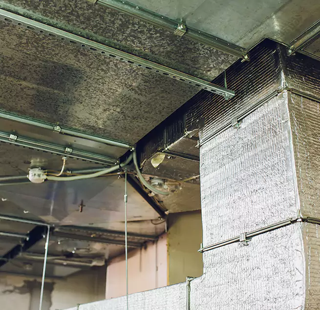 Why Homeowners & Businesses Trust Us in Fremont, NE?