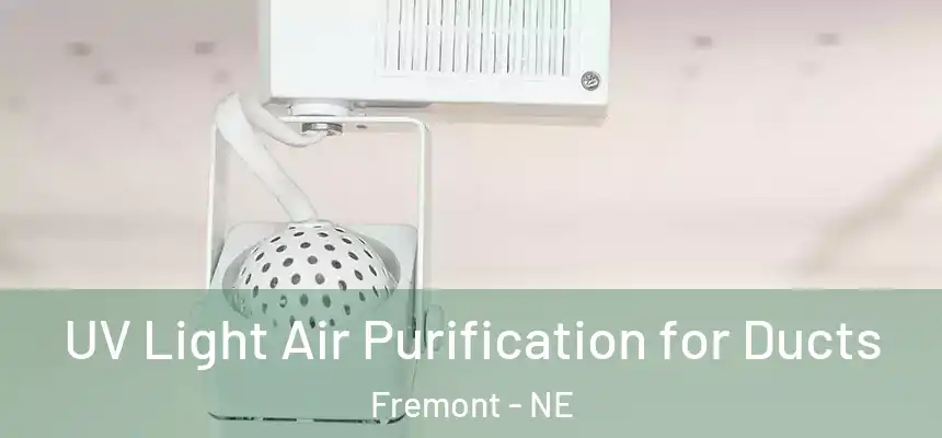  UV Light Air Purification for Ducts Fremont - NE